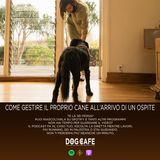 #041 - Come gestire il proprio cane all'arrivo di un ospite.