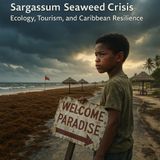 Sargassum Seaweed Crisis: Ecology, Tourism, and Caribbean Resilience