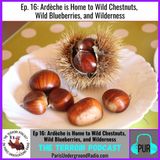 Ardèche is Home to Wild Chestnuts, Wild Blueberries, and Wilderness