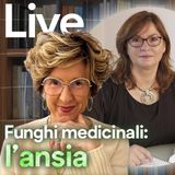 I funghi medicinali per l'ansia