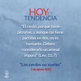 “Los cerdos no vuelan” ~ Devocional de Jóvenes ~ 2 de agosto 2025