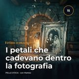 I petali che cadevano dentro la fotografia