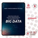 Protección de datos personales en tiempos del big data