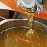 Sequestrate 22 tonnellate di miele contraffatto a un’azienda del Basso Vicentino