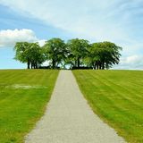 Episode 1574 - Jarvis Kingston Alabama Indiana Rose Bowl Ole Miss Georgia Sugar Bowl New Years 2026 Swiss Ski Resort Switzerland Mamdani NYC