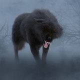 1 | The Legend of Black Shuck