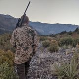 the Southwest Rifle - Best Rifles for Hunting Americas Southwest - Mule Deer Pronghorn Sheep Javelina Coyote