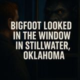 Face to Face with Bigfoot in Stillwater, Oklahoma – The Night a Panther Wasn’t the Only Predator