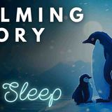 ❄️ The Perfect Story for Sleep ❄️ A Relaxing Cruise around Antarctica _ A Calming Story for Sleep