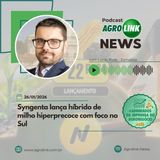 Maior produtor, Paraná já colheu 72% da safra de feijão