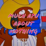 116) S07E23 (Much Apu About Nothing)