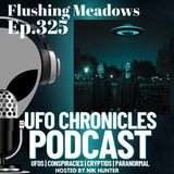 Ep.325 Flushing Meadows