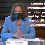 Kamala Harris introduced herself with her pronouns and by describing her outfit cringe #GoRightNews