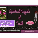 SPIRITUAL NUGGETS OF TRUTH with Min. Karmen A. Booker: Saddled On The Sidelines