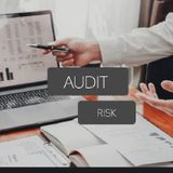 T.A.16. Audit risk