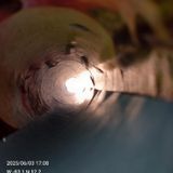 Voces del pasado
