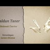 Haldun Taner   Dinlemek Üzerine