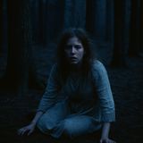 Her sisters went next. The animals remembered — Brothers Grimm rebooted