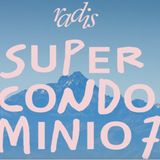 Ramona Ponzini "Supercondominio7"