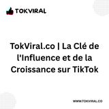 TokViral.co | La Clé de l'Influence et de la Croissance sur TikTok