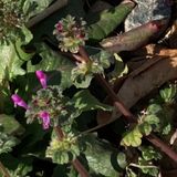 Letting Our Lives Unfold