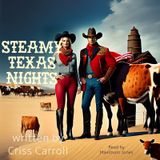 Staemy Texas Nights-Story 4