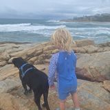 Annoyance and Frustration - but Why?