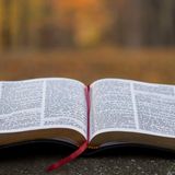 10 VERSICULOS BIBLICOS PARA TRAER PAZ Y CONFIANZA / rReflexiones Cristianas
