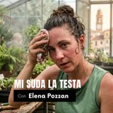 MI SUDA LA TESTA