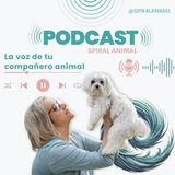 ¿Y si tu compañero animal no se porta mal sino que te están diciendo algo? 3 claves que lo cambian todo