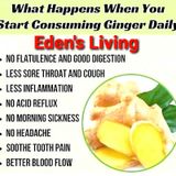 What Happens When you CONSUME GINGER