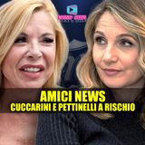 Amici News: Cuccarini e Pettinelli Rischiano Grosso!