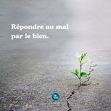 Le sang des martyrs, semence de chrétiens (21-04-2026)