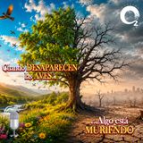 NUESTRO OXÍGENO Cuando desaparecen las aves, algo está muriendo