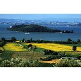 L’isola Maggiore del Trasimeno «Terre d'Italia» di Cesare Brandi