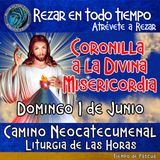 CORONILLA A LA DIVINA MISERICORDIA DE HOY DOMINGO 1 DE JUNIO 2025. 🙏 REZAR EN TODO TIEMPO.               