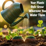 Your Plants Only Grow Wherever You Water Them
