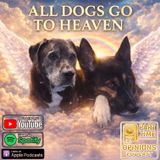 All dogs go to heaven