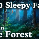The Most Relaxing Facts About Life in The Forest to Fall Asleep To