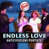 Endless Love, Anticipazioni Puntate 4-8 Novembre 2024: Ayhan Chiede A Leyla Di Sposarlo!