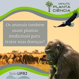Minuto PlantaCiência - Ep. 02 - Os animais também usam plantas medicinais para tratar suas doenças? (Rádio UFRJ)