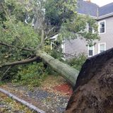 Schools Closed, More Than 200K Without Power After Storm