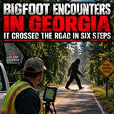 BIGFOOT SIGHTING NEAR PLAINS GEORGIA | IT GLIDED ACROSS THE ROAD
