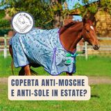 Coperta anti-sole e mosche in estate: buona per i cavalli?