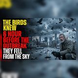 The Birds Fell at Dawn, 6 Hours Before the Outbreak | Apocalyptic mysteries