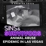 The Animal Abuse Epidemic in Las Vegas