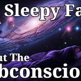 100 Most Relaxing Facts About Sleep to Fall Asleep To