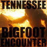 A BIGFOOT ENCOUNTER FROM BRICEVILLE TENNESSEE | IT WAS RABBIT HUNTING BY THE CABIN