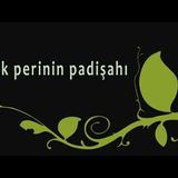 Kırk Perinin Padişahı  Sesli Türk Masalı Akın ALTAN #masal #akınaltan #seslikitap #sesli