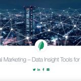 Digital Marketing Strategy 2020 - Free Digital Audit & Recommendations Reports by MINT Social